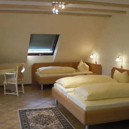 Hotel-restaurant Schieble 3*