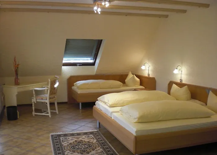 Hotel-restaurant Schieble 3*