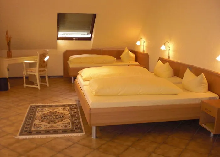 Hotel-restaurant Schieble 3* Кенцинген